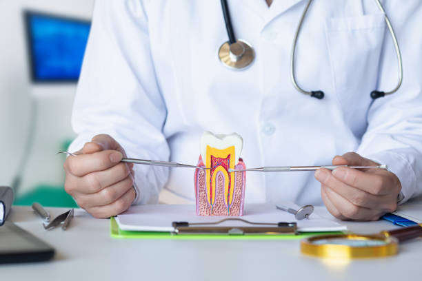 Best Emergency Dental Care for Trauma or Injury in Baidland, PA